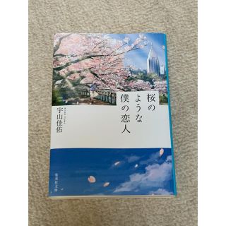 桜のような僕の恋人(文学/小説)