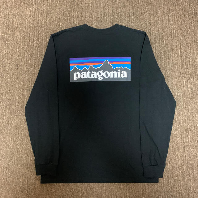 patagonia(パタゴニア)のパタゴニア　ロングスリーブ・P-6ロゴ・レスポンシビリティー メンズのトップス(Tシャツ/カットソー(七分/長袖))の商品写真