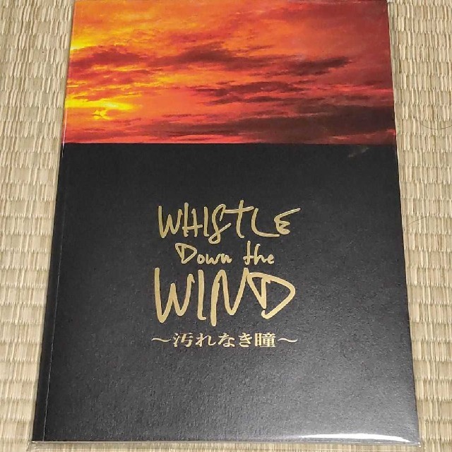 ホイッスル・ダウン・ザ・ウインド パンフレット 三浦春馬 エンタメ/ホビーのタレントグッズ(男性タレント)の商品写真