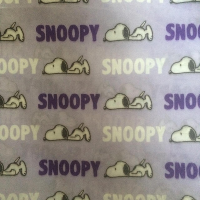 SNOOPY(スヌーピー)の新品❤︎スヌーピー Snoopy ❤︎エコバック大きい  レディースのバッグ(エコバッグ)の商品写真