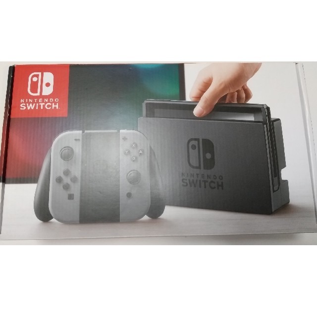 Nintendo Switch JOY-CON グレー 本体  HAC-S-KA任天堂