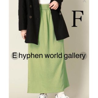 イーハイフンワールドギャラリー(E hyphen world gallery)のE hyphen world gallery 配色リブIラインマキシスカート(ロングスカート)