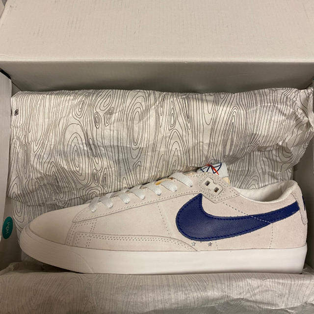 POLAR NIKE SB BLAZER LOW