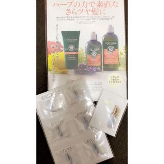 ロクシタン(L'OCCITANE)のMAQUIA10月号の付録(ロクシタン)(美容)