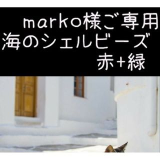 marko様ご専用  海のシェルビーズパック 橘より(各種パーツ)