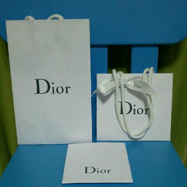 Dior(ディオール)のディオールとシャネルのブランド紙袋 レディースのバッグ(ショップ袋)の商品写真