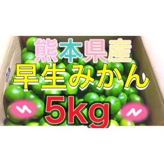 熊本県産早生みかん5kg(フルーツ)