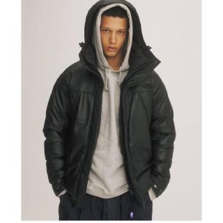 ザノースフェイス(THE NORTH FACE)のMountain Down Leather Jacket ノースフェイスダウン(ダウンジャケット)