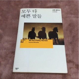 【あべの様専用商品】2冊セット(文学/小説)