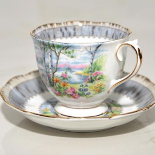 ロイヤルアルバート(ROYAL ALBERT)のロイヤルアルバート　1940年代シルバーバーチ(白樺)(食器)