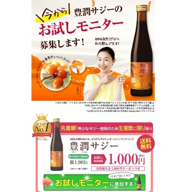 豊潤サジー、アミノ酸、鉄分サプリ、ダイエット、青汁 食品/飲料/酒の健康食品(アミノ酸)の商品写真