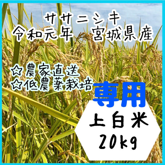 食品☆専用品【農家直送】宮城県産ササニシキ　上白米10kg×2袋【送料無料】