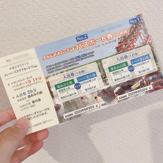 ナガシマスパーランド パスポート券(遊園地/テーマパーク)