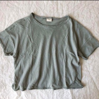 無地　Tシャツ(Tシャツ/カットソー)