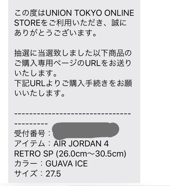 UNION × NIKE AIR JORDAN 4 RETRO SP