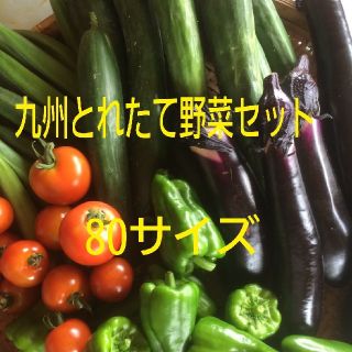 九州とれたて野菜セット80サイズ(野菜)