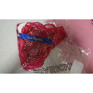 ジョイリッチ(JOYRICH)のJOYRICHシルク水着未使用未開封(水着)