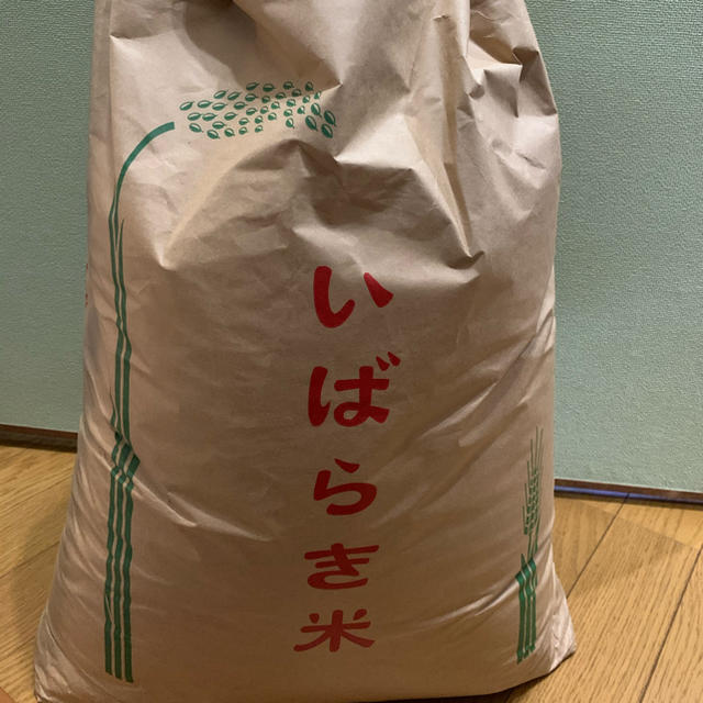 食品/飲料/酒コシヒカリ30kg