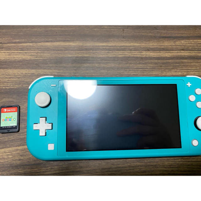 Switch lite