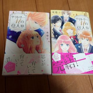 「テリトリーMの住人 」10巻11巻セット(少女漫画)