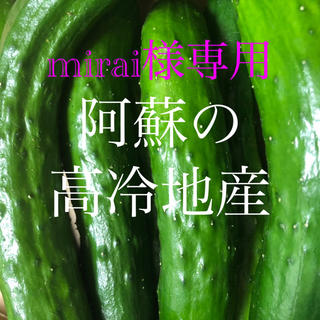 mirai様専用ページ　阿蘇のきゅうり　予約分(野菜)