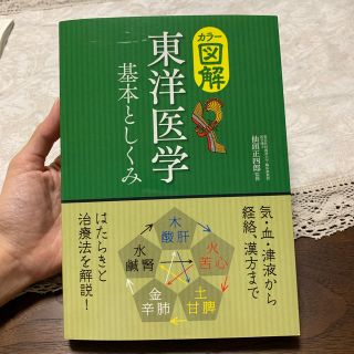 カラ－図解東洋医学基本としくみ(人文/社会)