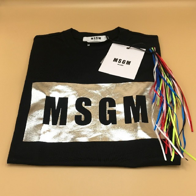 MSGM(エムエスジイエム)の【新作 新品】MSGM ボックスロゴTシャツ ブラック×シルバー レディース レディースのトップス(Tシャツ(半袖/袖なし))の商品写真