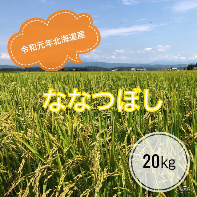 米/穀物　令和元年北海道産ななつぼし　20㎏