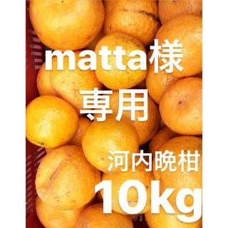 matta様　専用　宇和ゴールド10Kg   河内晩柑　愛媛(フルーツ)