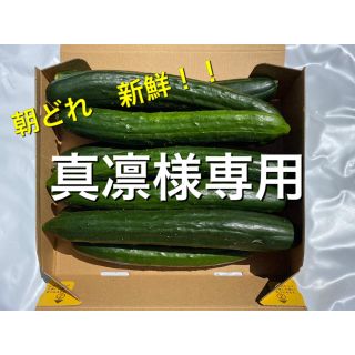 朝どれきゅうり　宮崎県産　訳あり(野菜)