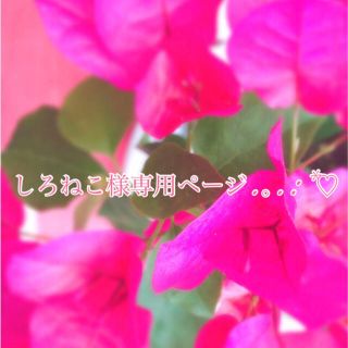 しろねこ様専用ページ♡(ヘアアクセサリー)
