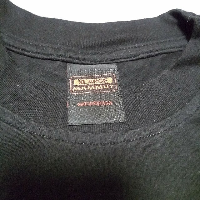 Mammut(マムート)のMAMMUT  Tシャツ メンズのトップス(Tシャツ/カットソー(半袖/袖なし))の商品写真