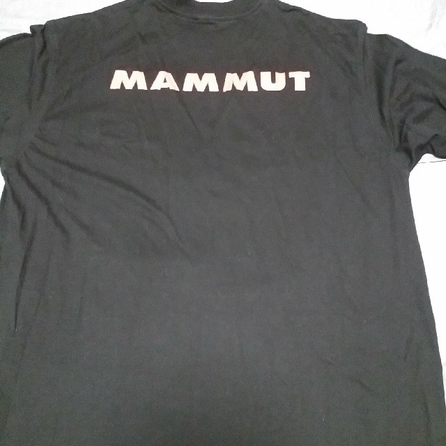 Mammut(マムート)のMAMMUT  Tシャツ メンズのトップス(Tシャツ/カットソー(半袖/袖なし))の商品写真