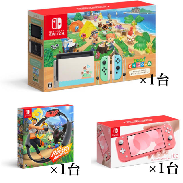 家庭用ゲーム機本体Nintendo Switch 本体 あつまれどうぶつの森 等豪華セット