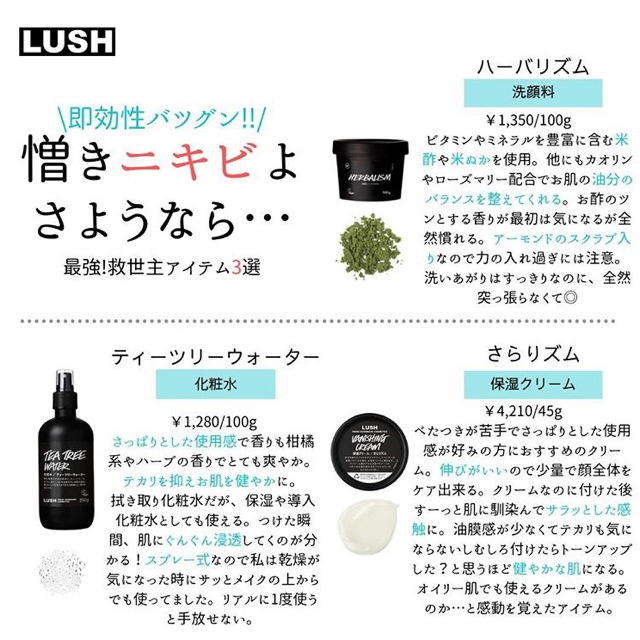 LUSH(ラッシュ)の【値下げ！】LUSH TEA TREE WATER トナー コスメ/美容のスキンケア/基礎化粧品(化粧水/ローション)の商品写真