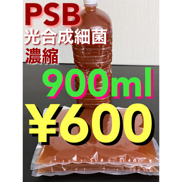 Psb 900ml 濃縮 生クロレラ メダカの通販 By しん ラクマ