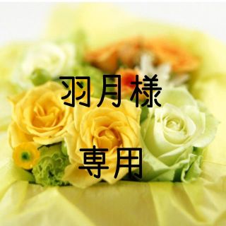 羽月様専用  お米　令和元年　愛媛県産ヒノヒカリ　玄米　30㎏(米/穀物)