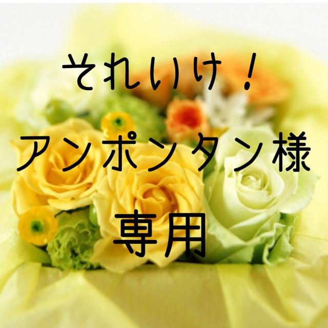 それいけ！アンポンタン様専用  お米　令和元年　愛媛県産ヒノヒカリ　玄米　30