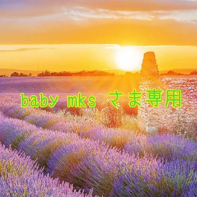 ③baby mks リピーターさま通常お出汁セット(3袋)