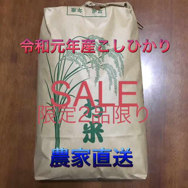 農家直送　米/穀物　100％コシヒカリ　4.5kg×2袋入り