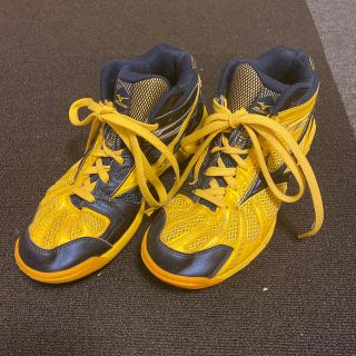 ミズノ(MIZUNO)のバレーボールシューズ　ミズノ　ウェーブライジン　26.0(バレーボール)