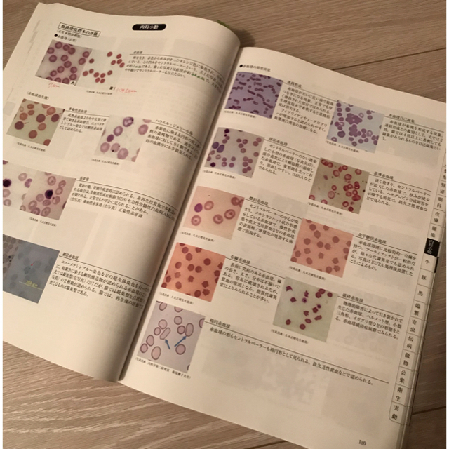 参考書最新版　麻布大学　カラーアトラス　2023