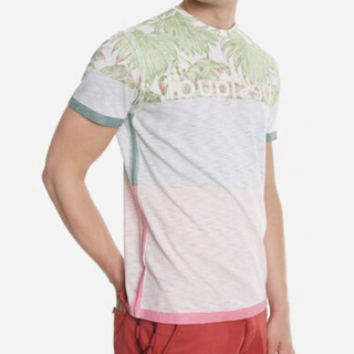 デシグアル(DESIGUAL)のデシグアル Desigual Tシャツ カットソー メンズ S 半袖 リバース(Tシャツ/カットソー(半袖/袖なし))