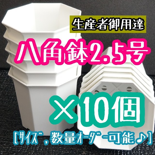 こずき様 八角鉢 (白) 2.5号 ◎10個◎ 2.5寸 シャトル鉢 ホワイト ハンドメイドのフラワー/ガーデン(その他)の商品写真