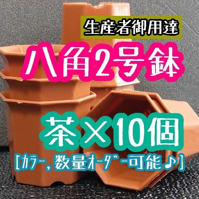 八角鉢 ◎7個◎ 2号 2寸 ブラウン プラ鉢 シャトル鉢 ハンドメイドのフラワー/ガーデン(その他)の商品写真