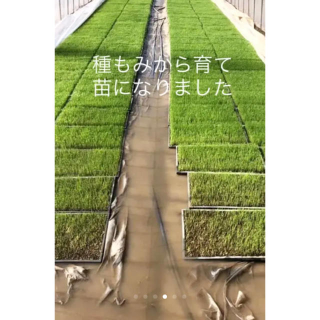 ちしていま】 mako♪mama 様 専用 ①の通販 by 100%コシヒカリ's shop