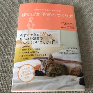 ぽかぽか子宮のつくり方 女性ホルモンを整えて幸せになる！(健康/医学)