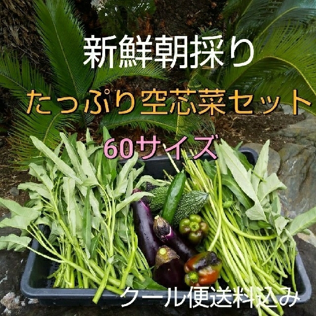 野菜箱詰め【野菜おまかせ♪野菜おためし】新鮮朝採り空芯菜増量セット★新鮮野菜 食品/飲料/酒の食品(野菜)の商品写真