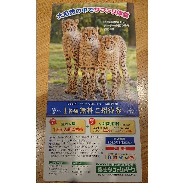 富士サファリパーク １名様無料ご招待券 １枚 チケットの施設利用券(動物園)の商品写真