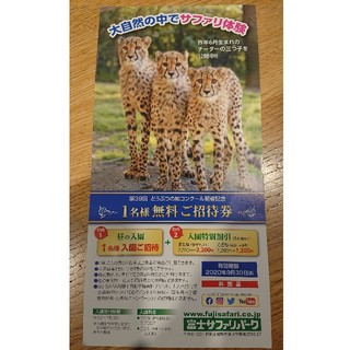 富士サファリパーク １名様無料ご招待券 １枚(動物園)